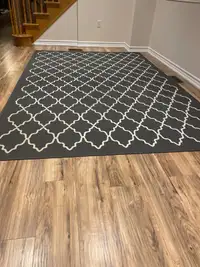 Living room Carpet 