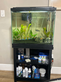 30 gallon fish tank