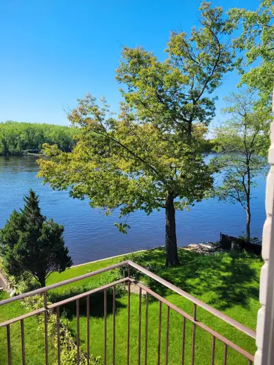 COLOCATION 5 1/2 Sur l'bord de l'eau avec 1 seule personne Libre Immédiatement Laval Entre les 2 sta...