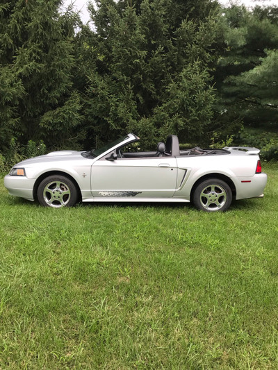 Mustang 2003 - Sale Pending