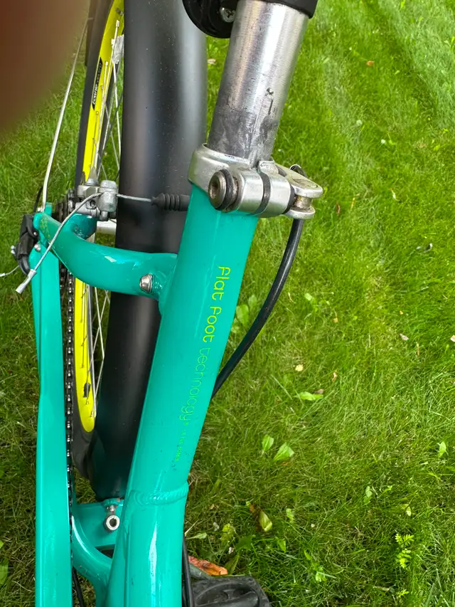 Electra Townie bicycle523049776396390404