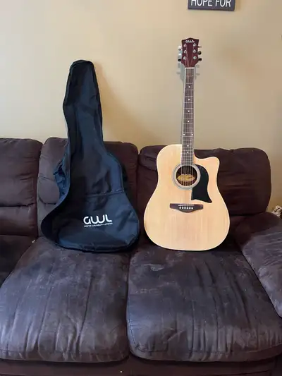 George Washburn Limited Guitar, View more
