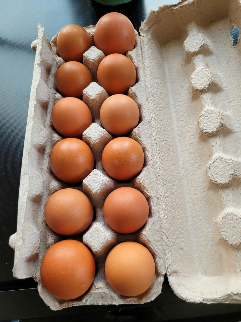 Farm eggs Other Norfolk County Kijiji