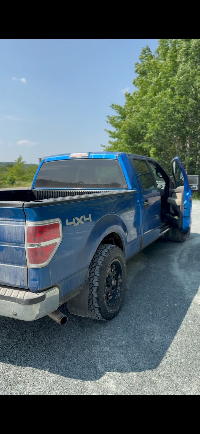 2009 ford f150 xlt in Cars & Trucks in Truro - Image 3