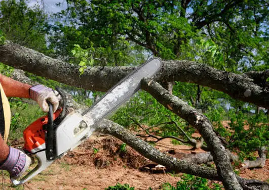 landscaping/carpentry 65619850664066123