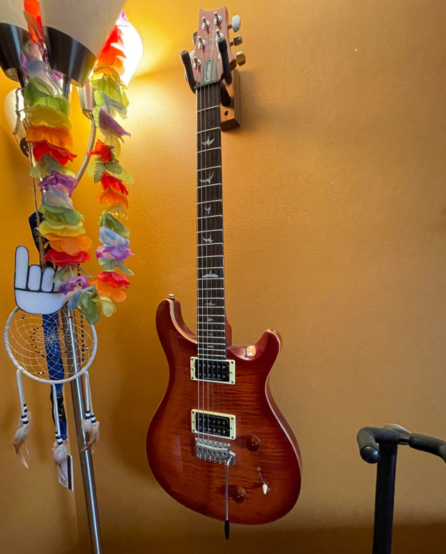2018 PRS SE Custom 22 in Guitars in Leamington