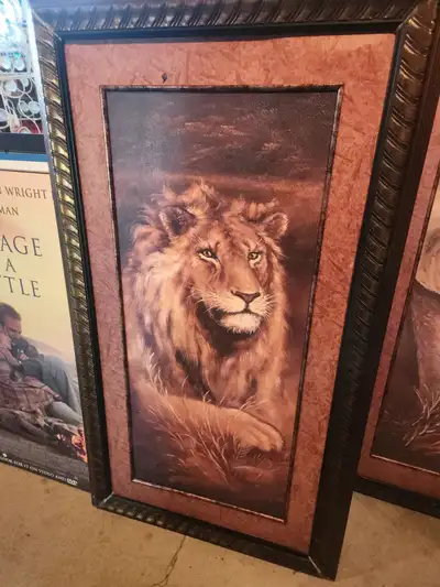 Wildlife paintings, View more