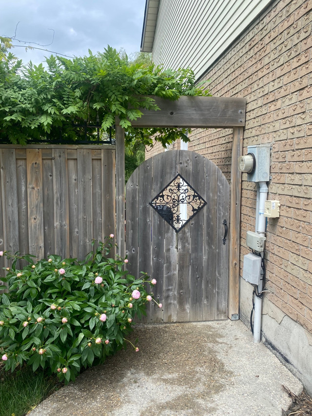 Basement Apartment for Jul/01 Long Term Rentals Kitchener