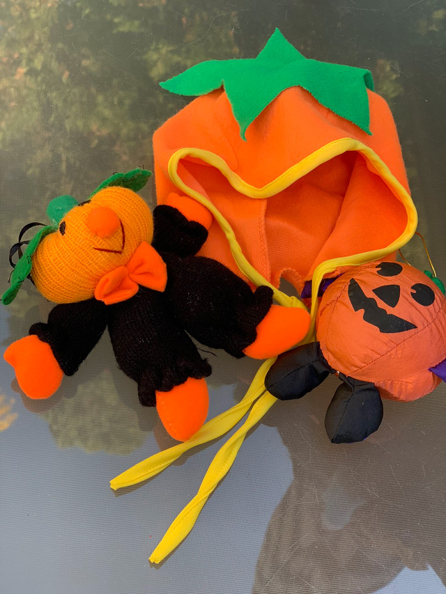 Baby Pumpkin Hat and Hanging Toys in Other in Kitchener / Waterloo