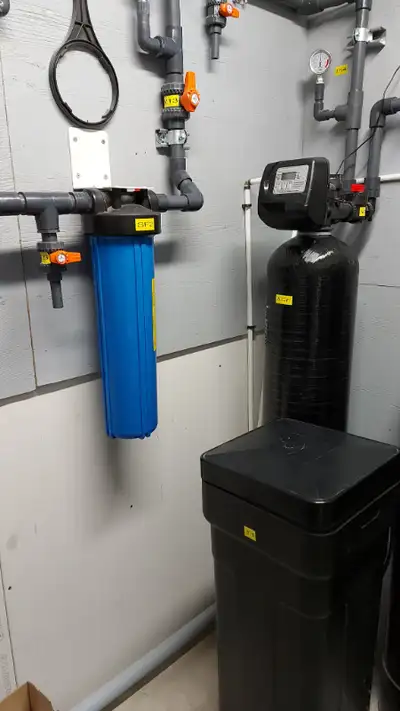 Les tannins sont formés par la décomposition de la végétation dans les lacs, les puits d'eau, les ri...