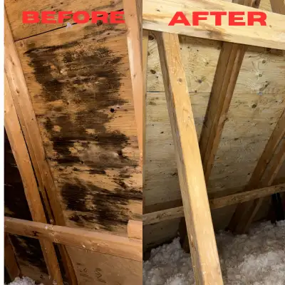 ATTIC MOLD REMOVAL SPECIALIST  CERTIFIED IICRC, View more