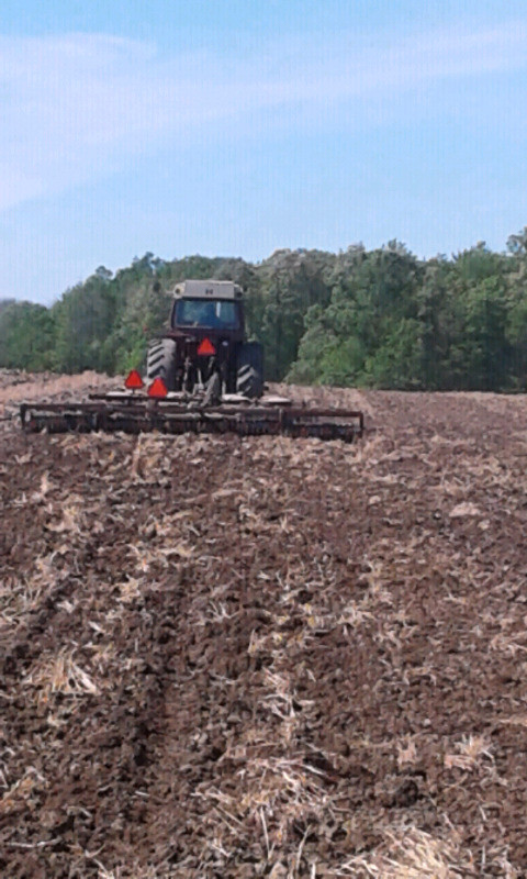 WANTED: Rent farm land to grow organic, regenerative crops in Land for Sale in St. Catharines - Image 2