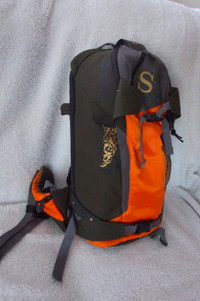 Salomon Lord 20 backpack
