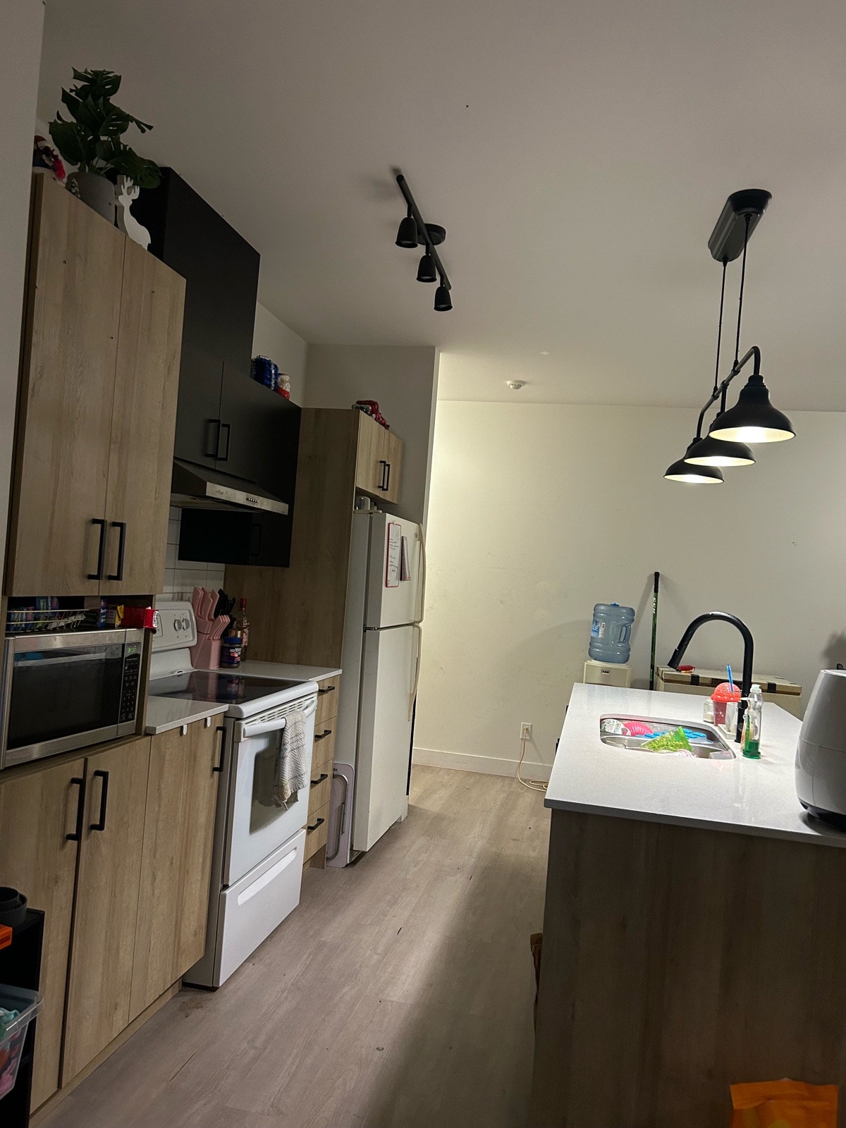 206 Rue du Grenoble — photo 3
