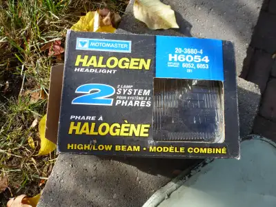 Antique 12 V Halogen Lamp, View more