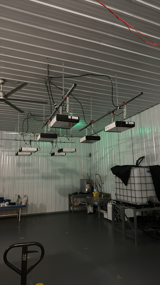 Avica LED grow lights in Indoor Lighting & Fans in Oakville / Halton Region - Image 4