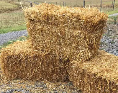 wheat straw , View more