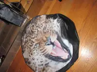 Jeep Wrangler 16"  tire cover quality huge leopard print