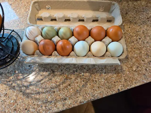 Farm fresh eggs