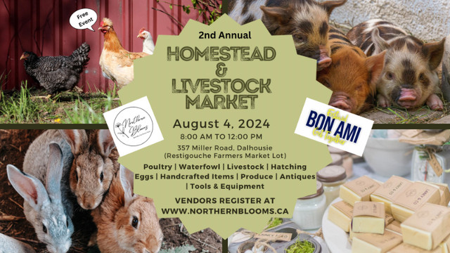 Homestead Market in Events in Bathurst