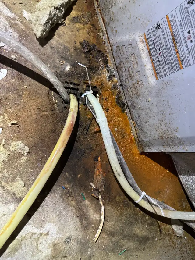 Professional Plumbing Service