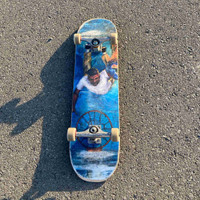 Quasi Skateboard Independent Trucks, Spitfire Wheels 8.5”