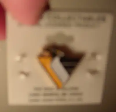 Sports Collectible Pin, View more