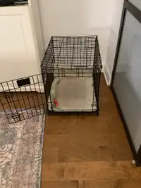 cage pour petit chien
