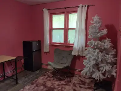 1 large room for rent: furnished, coin laundry on the side, shared kitchen/bathroom. NO parking. Loo...