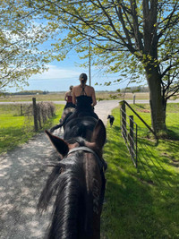 Horse riding lessons 