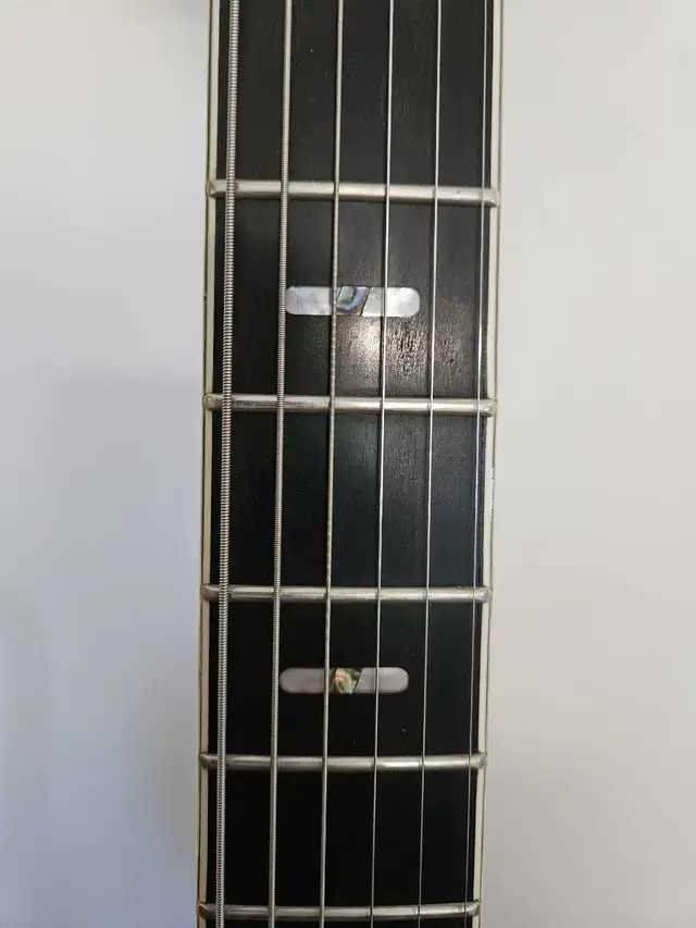 Hagstrom Ultra Swede *rare* spalted maple finish in Guitars in Kawartha Lakes - Image 4