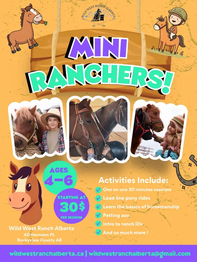 Mini Ranchers horse lessons 425693589946378240