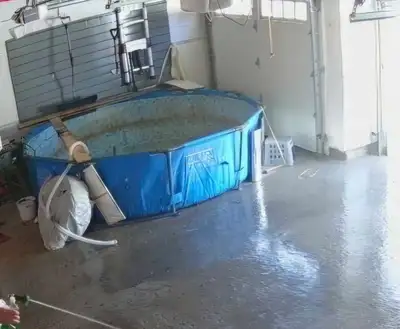 10 Foot Best way Pool Frame and Supplies, View more