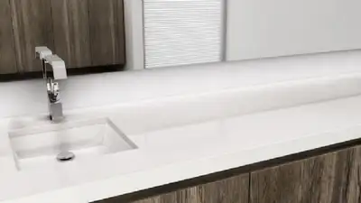 Neuf dans sa boîte Lavabo de salle de bain undermount 22 “de marque WetStyle modèle : VC821UG de cou...