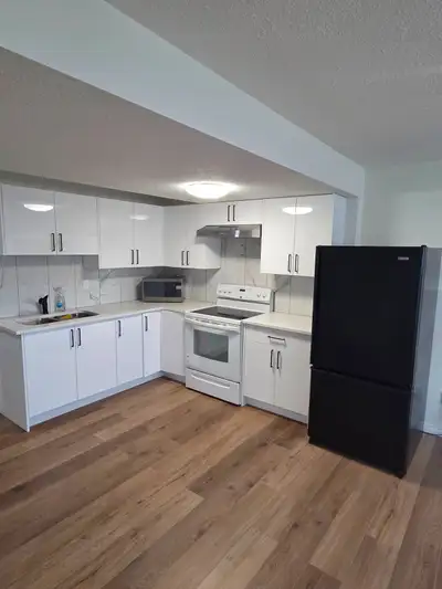 Newly rennovated 2 bedrooms Kitchen Living room Laundry (Washer/dryer to be installed before renters...