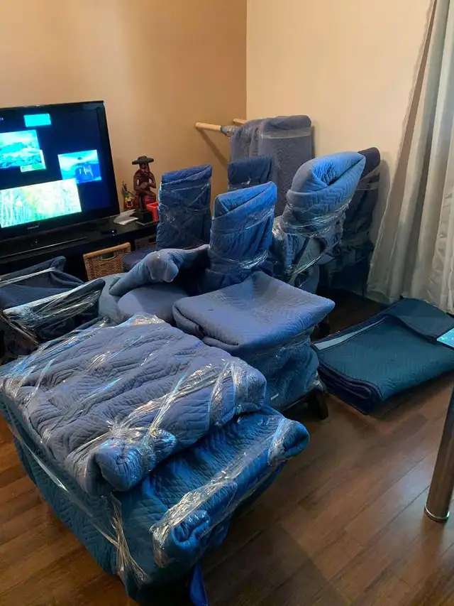 Transport David Pro64556775807618121