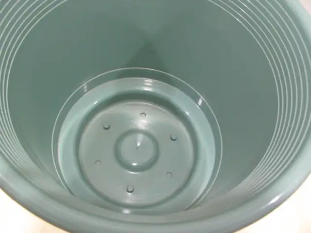 Green Plastic Flower Pot538441764915783682