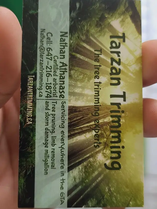 Certified arborist services