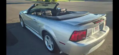 2000 Mustang Gt 5sp in excellent condition 83000 km. 2nd owner .Always garaged, no accidents. No eng...