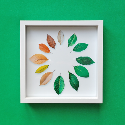 Seasons Leaves - Framed Home Decor Art Print $8 flat. Each. MEET IN ST.THOMAS or LONDON