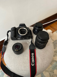 Canon EOS 7D + lenses + bag