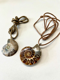 Fossil Ammonite Pendant Necklace Handmade