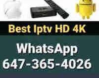 GREAT 4K TV SERVICE NO FREEZING FREE TRIAL 647-365-4026
