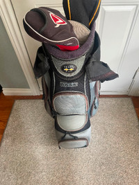 Golf Bag for Cart, "Snake Eyes" Calloway, Pried to sell at $20