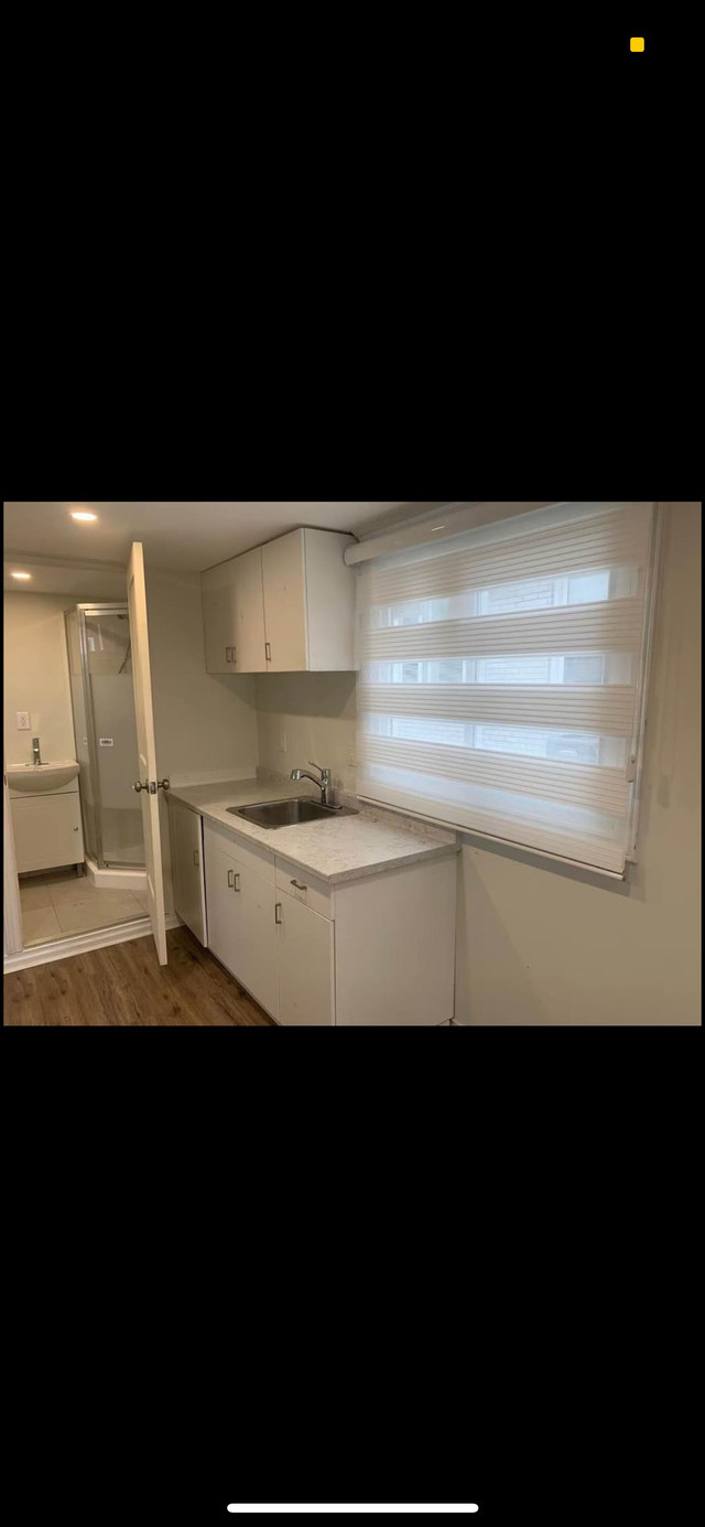 20FT SHIPPING CONTAINER TINY HOUSE! in Houses for Sale in Markham / York Region - Image 2