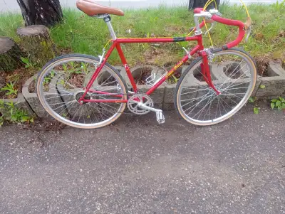Vintage Steve Bauer road bike, View more