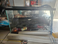 30 gallon fish tank