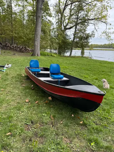 14 foot aluminum boat with 9.9 evinrude motor with fuel tank . Has not been in the water for 2 years...