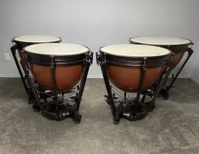 Adams Timpani, View more