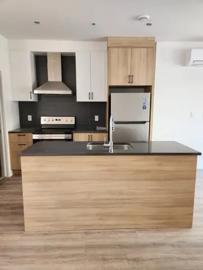 Appartement 5 1/2 Nouvelle Construction / New